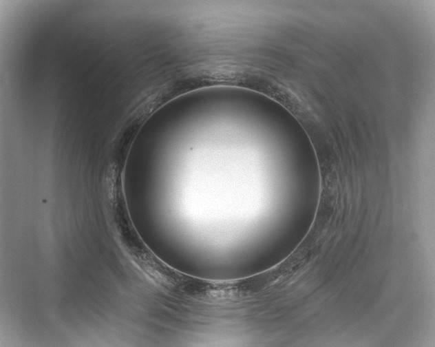 X0000073930744200608111200