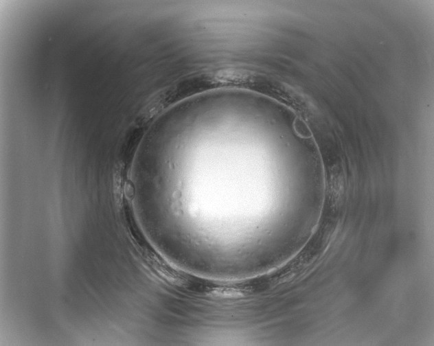 X0000073930749200608111200