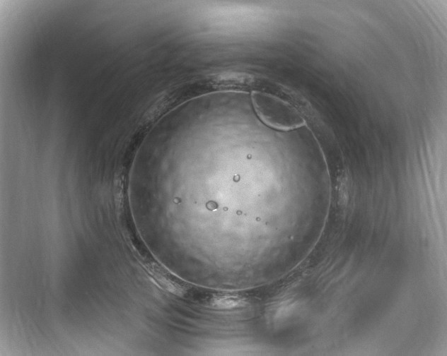 X0000073930753200608111200