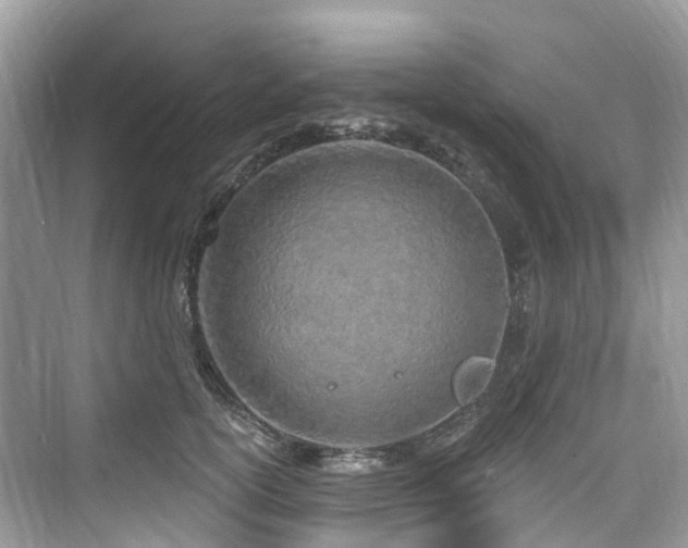 X0000073930754200608111200