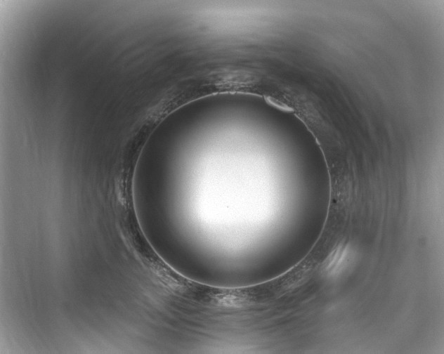 X0000073930755200608111200