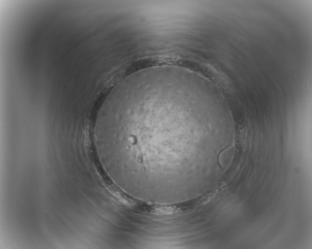 X0000073930757200608111200