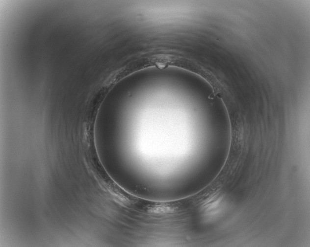 X0000073930759200608111200