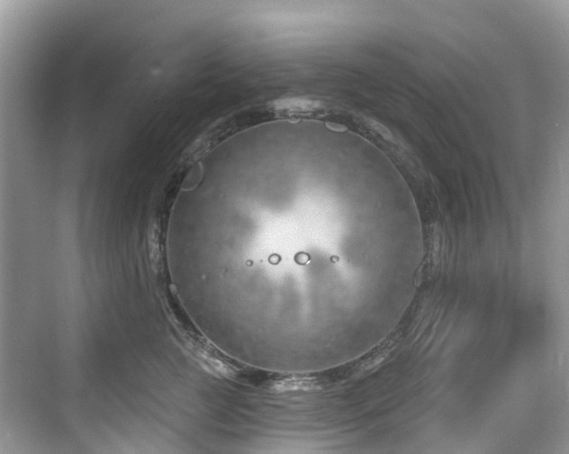 X0000073930761200608111200