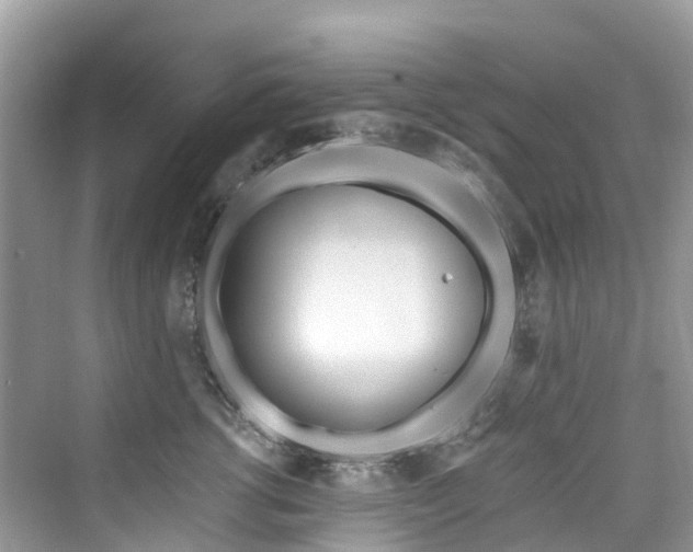 X0000073930762200608111200