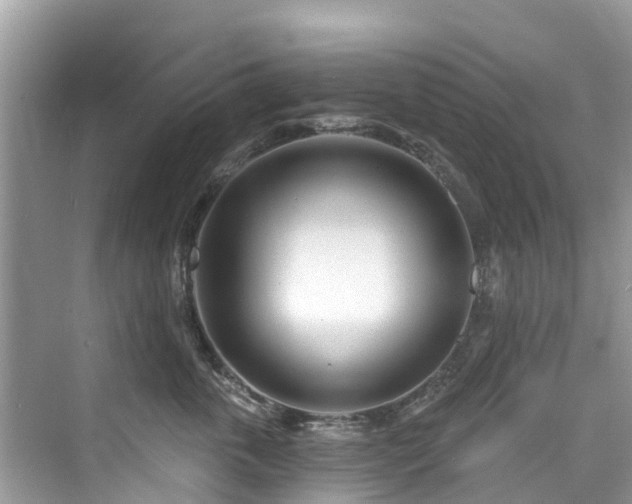 X0000073930763200608111200