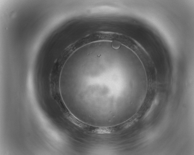 X0000073930765200608111200