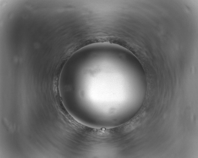 X0000073930768200608111200