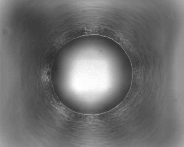 X0000073930770200608111159