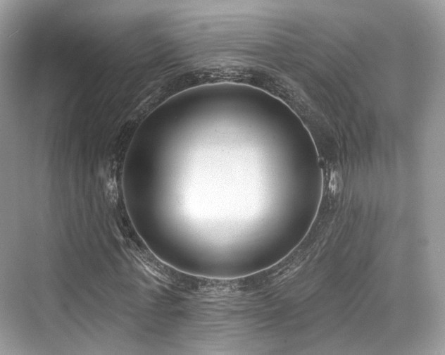 X0000073930771200608111159