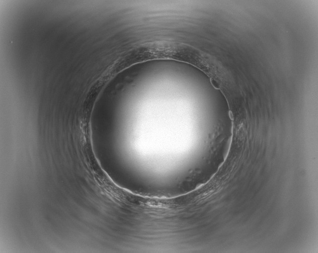 X0000073930772200608111159