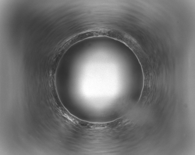 X0000073930773200608111159