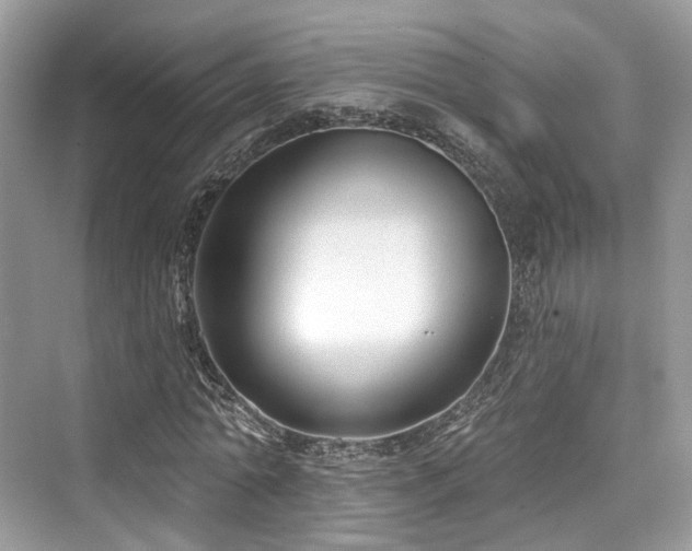 X0000073930774200608111159