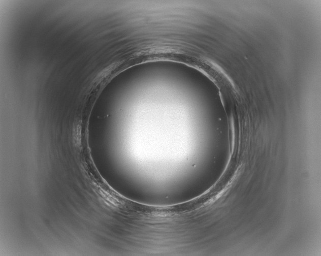 X0000073930777200608111159