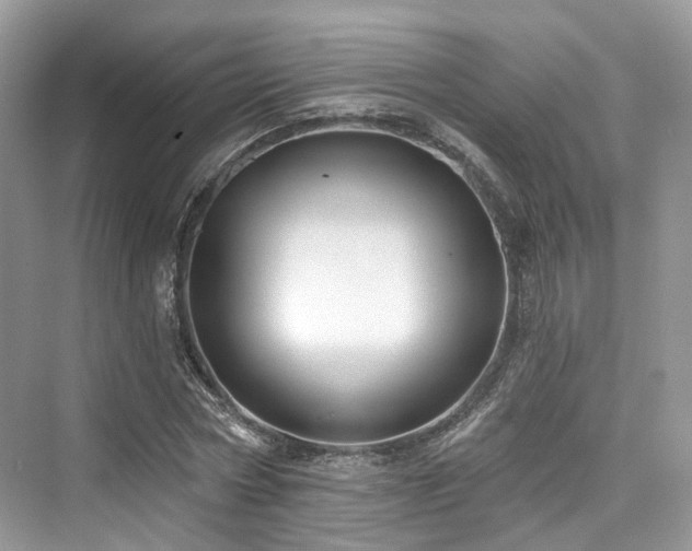 X0000073930778200608111159