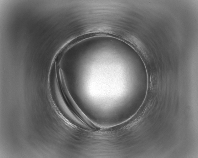 X0000073930780200608111159