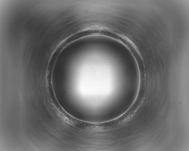 X0000073930783200608111159