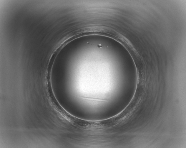 X0000073930786200608111159