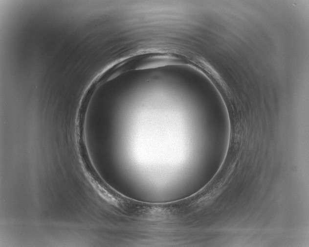 X0000073930787200608111159