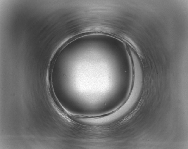 X0000073930788200608111159