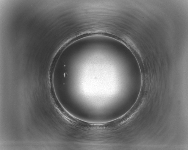 X0000073930789200608111159