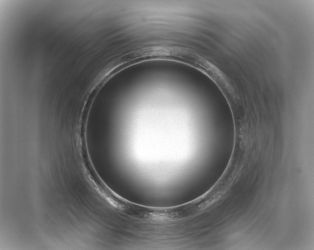 X0000073930794200608111159