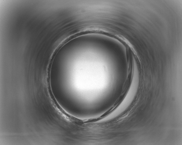 X0000073930799200608111159