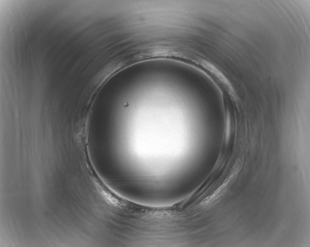 X0000073930801200608111159