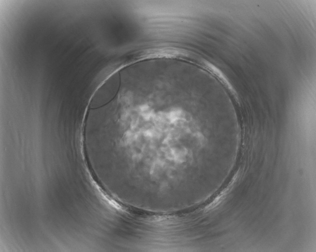 X0000073930802200608111159