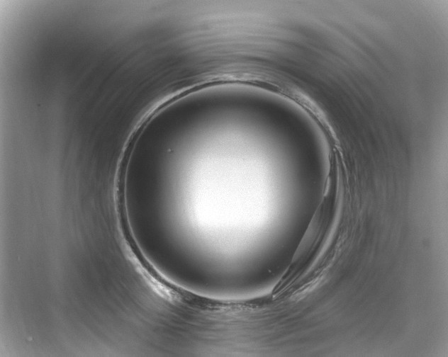 X0000073930803200608111159