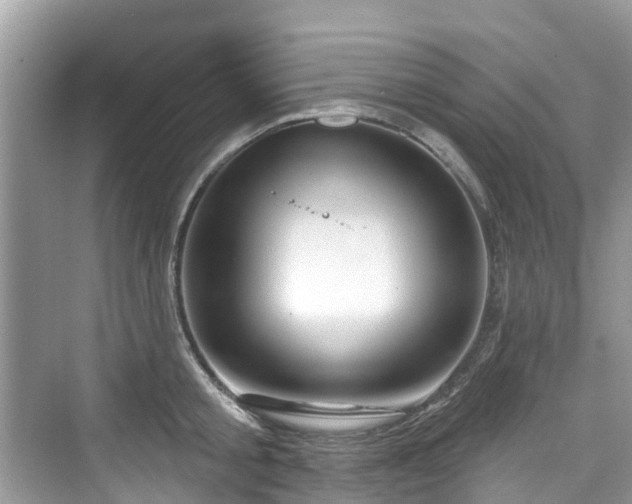 X0000073930805200608111159