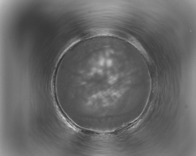 X0000073930806200608111159