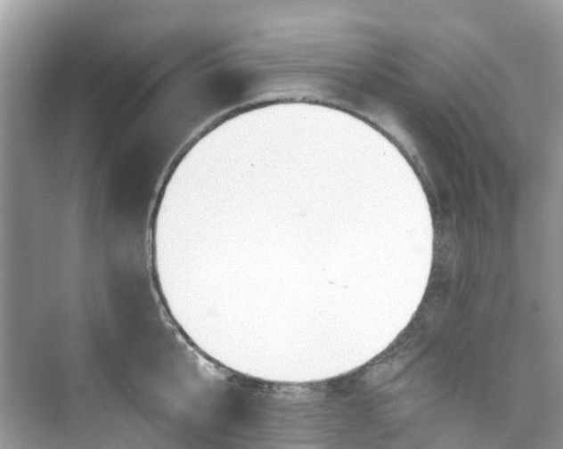 X0000073930807200608111159