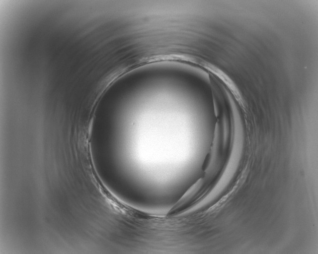 X0000073930809200608111159