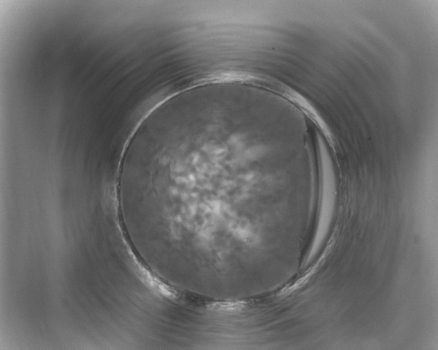 X0000073930810200608111159