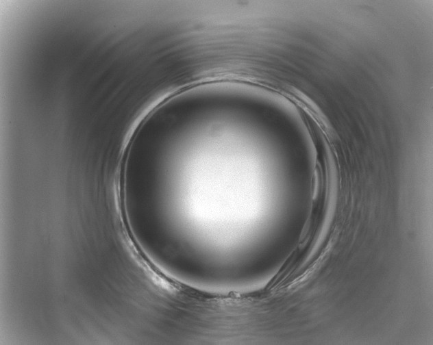 X0000073930812200608111159