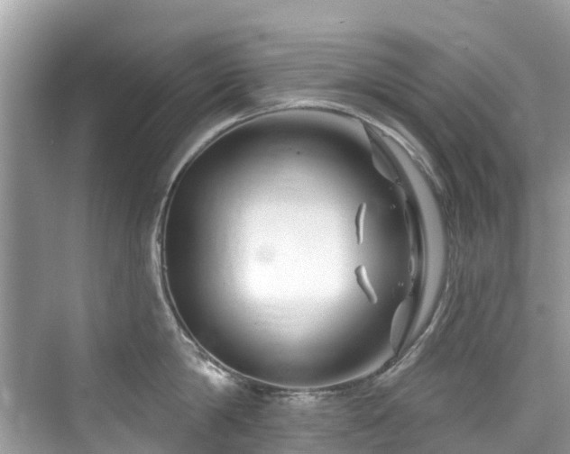 X0000073930814200608111158