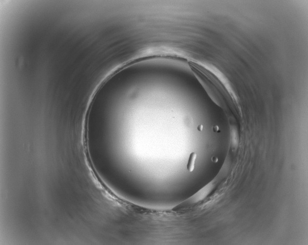 X0000073930815200608111158