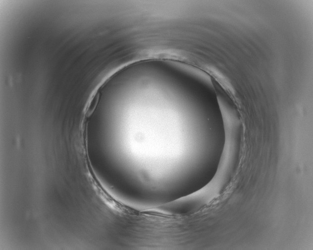 X0000073930816200608111158