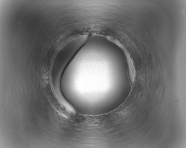 X0000073930818200608111158