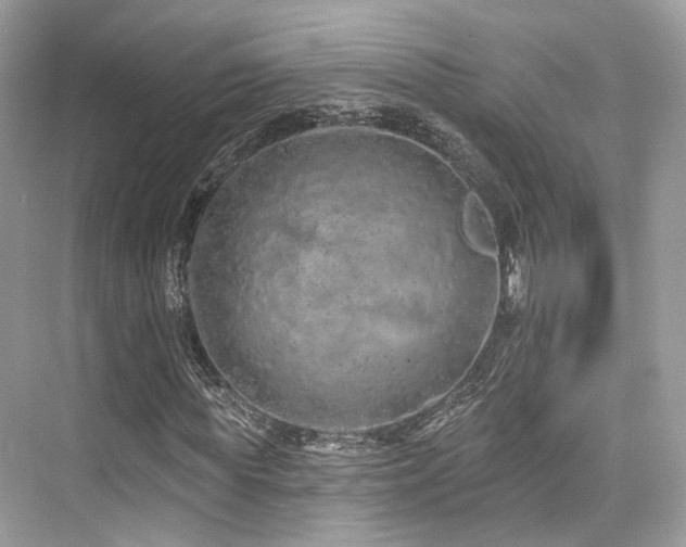 X0000073930819200608111158