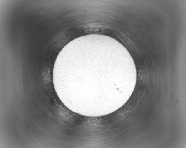 X0000073930820200608111158