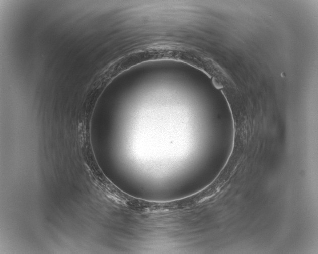 X0000073930821200608111158