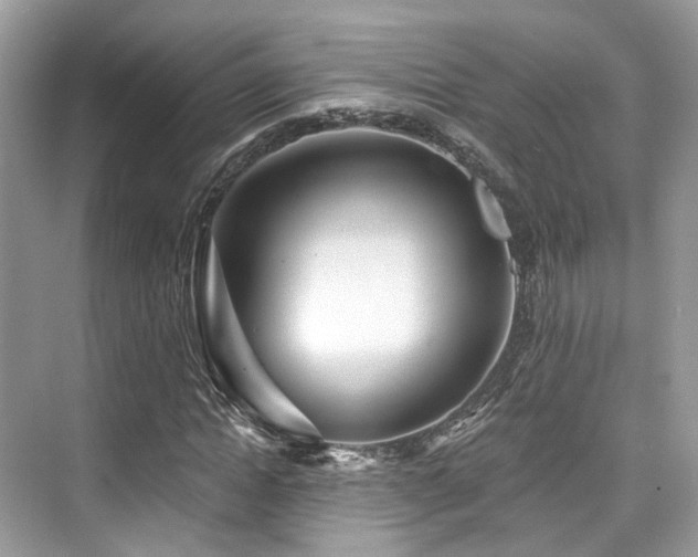 X0000073930822200608111158