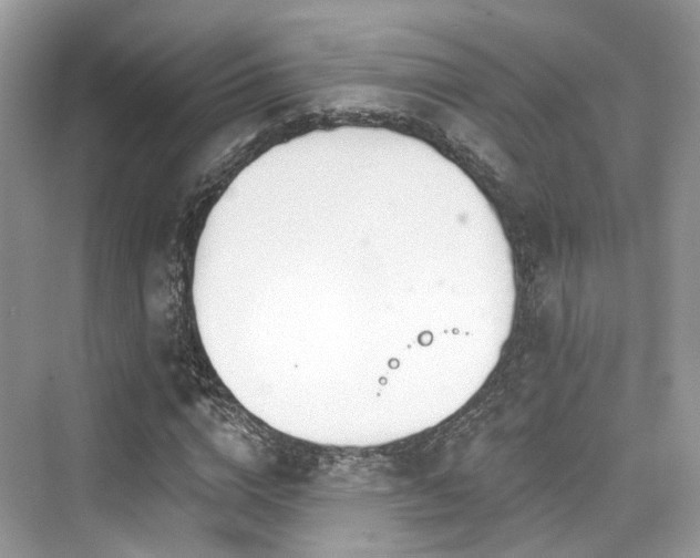 X0000073930824200608111158