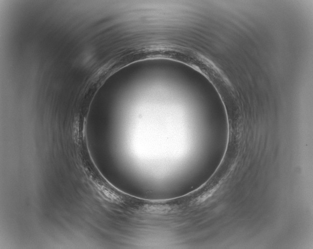 X0000073930825200608111158