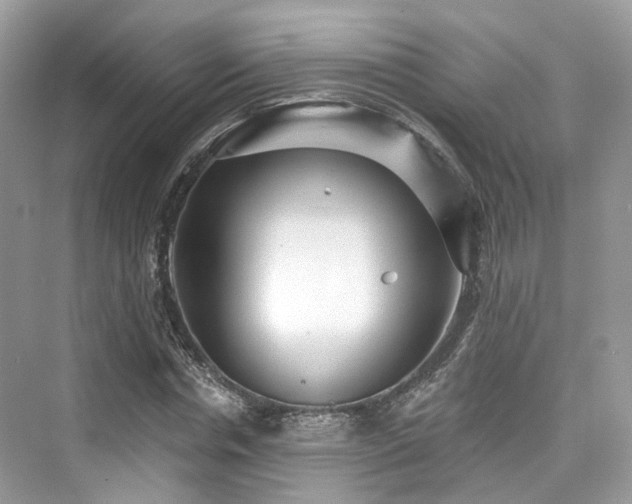 X0000073930826200608111158