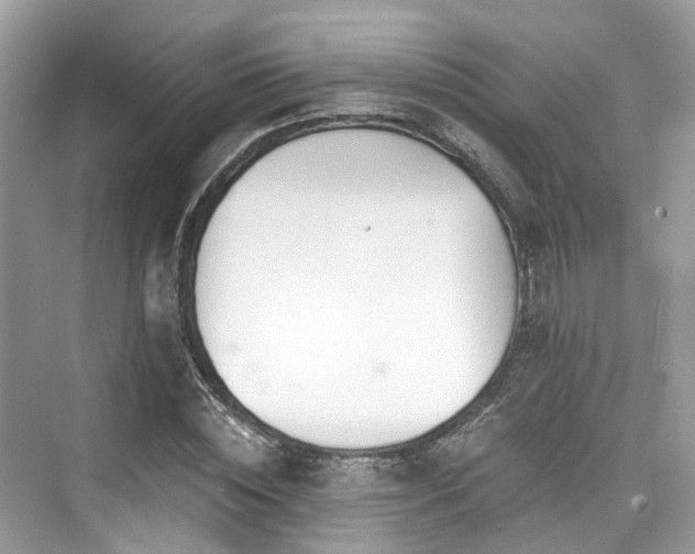 X0000073930828200608111158