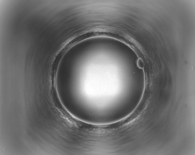 X0000073930829200608111158