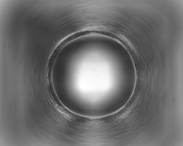 X0000073930830200608111158